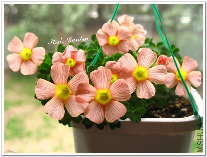 nEO_IMG_110227 029.jpg