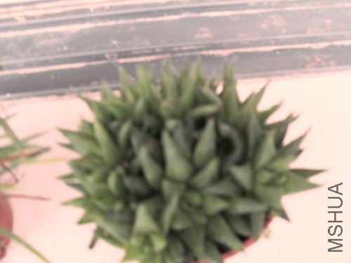 109_205862_27838fc00c339df.jpg