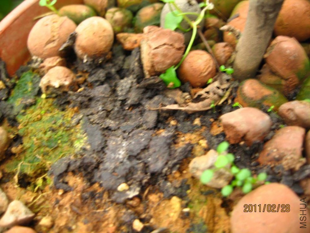 ��Ƭ11-2-28c 00311.jpg