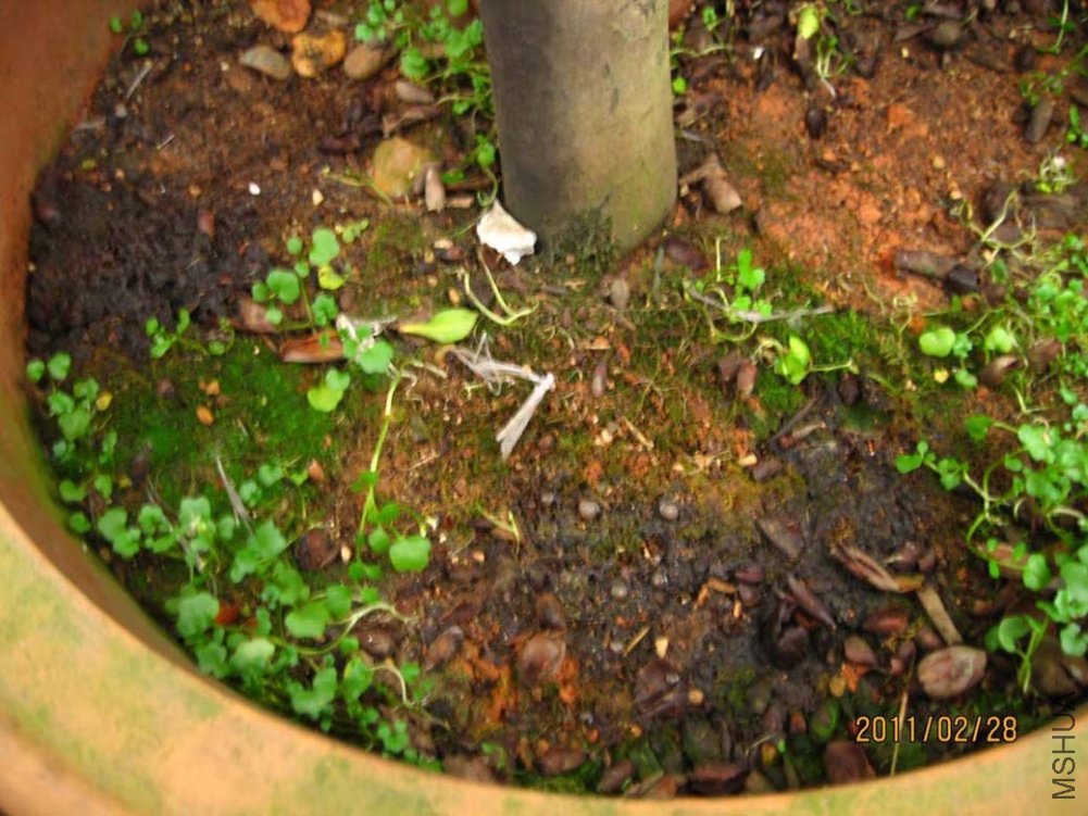 ��Ƭ11-2-28c 00711.jpg