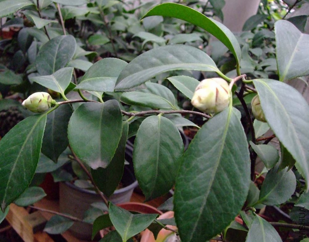 ��Ƭ11-2-28 00211.jpg