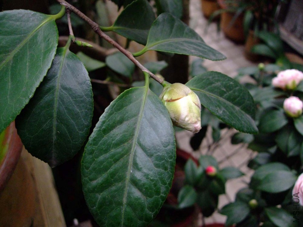 ��Ƭ11-2-28 00111.jpg