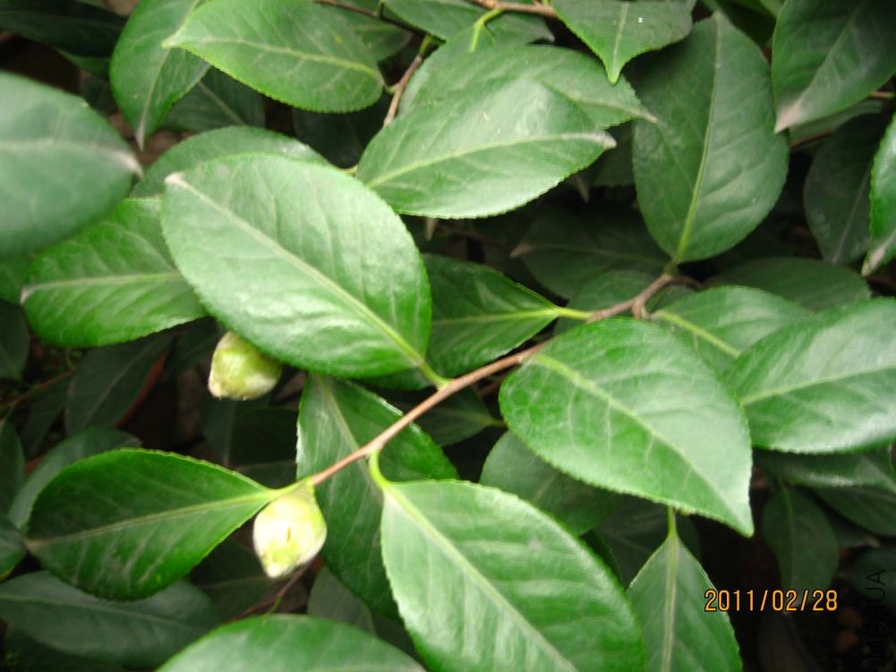 ��Ƭ11-2-28 111.jpg