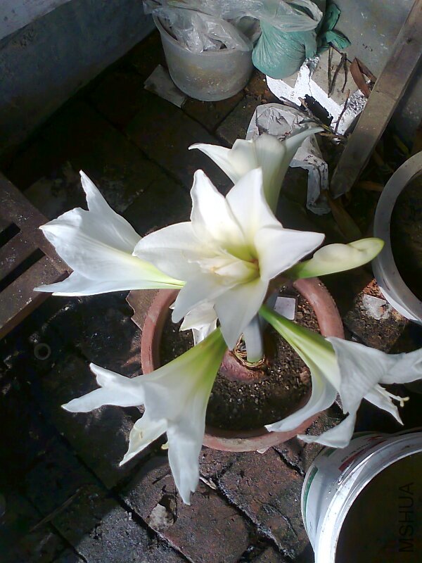 ��Ƭ0426.jpg