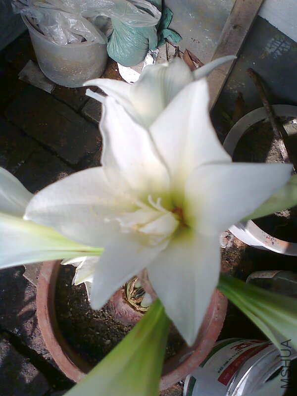 ��Ƭ0428.jpg