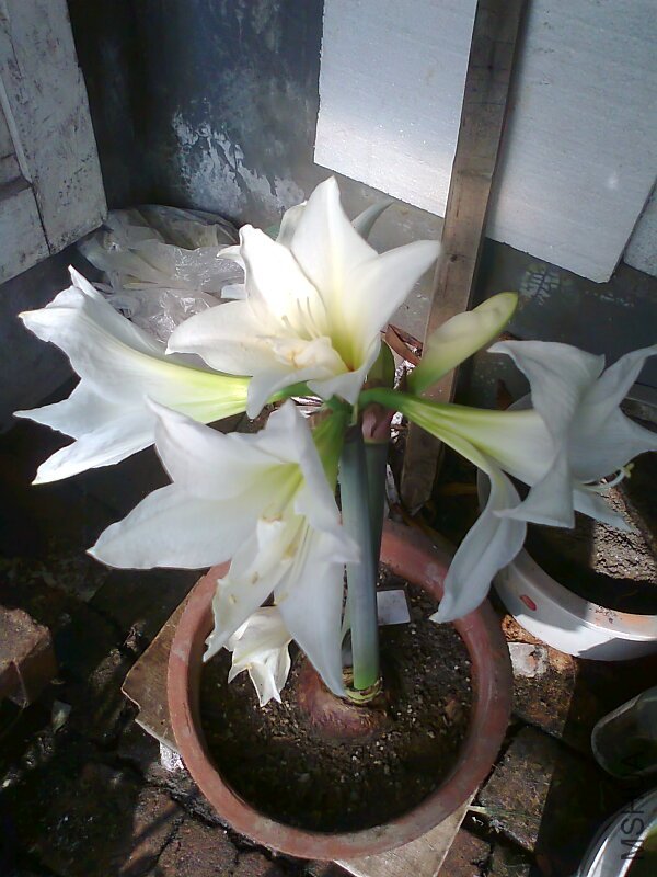 ��Ƭ0427.jpg