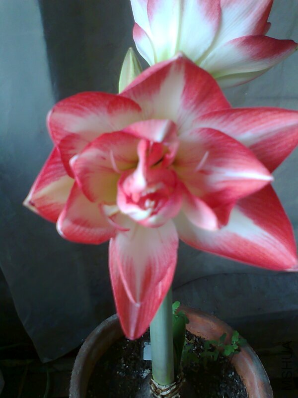 ��Ƭ0418.jpg