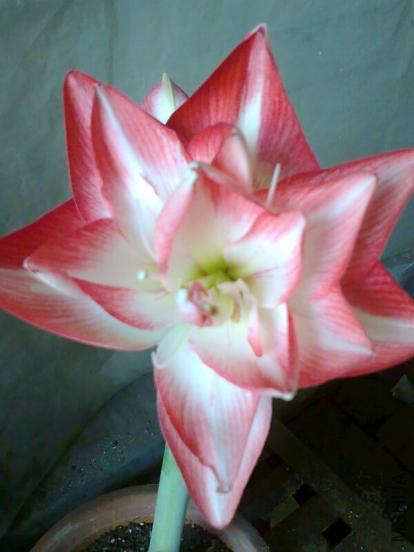 ��Ƭ0416.jpg