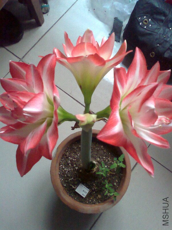 ��Ƭ0434.jpg