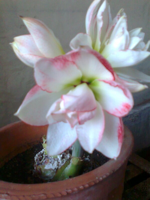 ��Ƭ0450.jpg