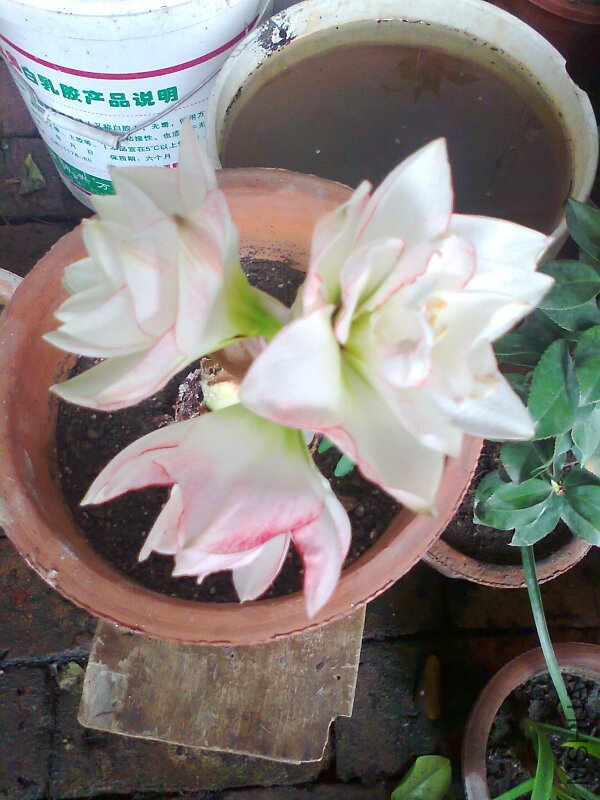 ��Ƭ0457.jpg