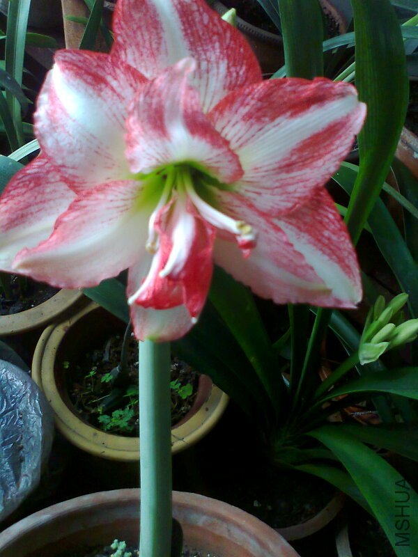��Ƭ0460.jpg