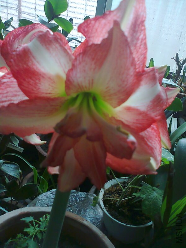 ��Ƭ0465.jpg