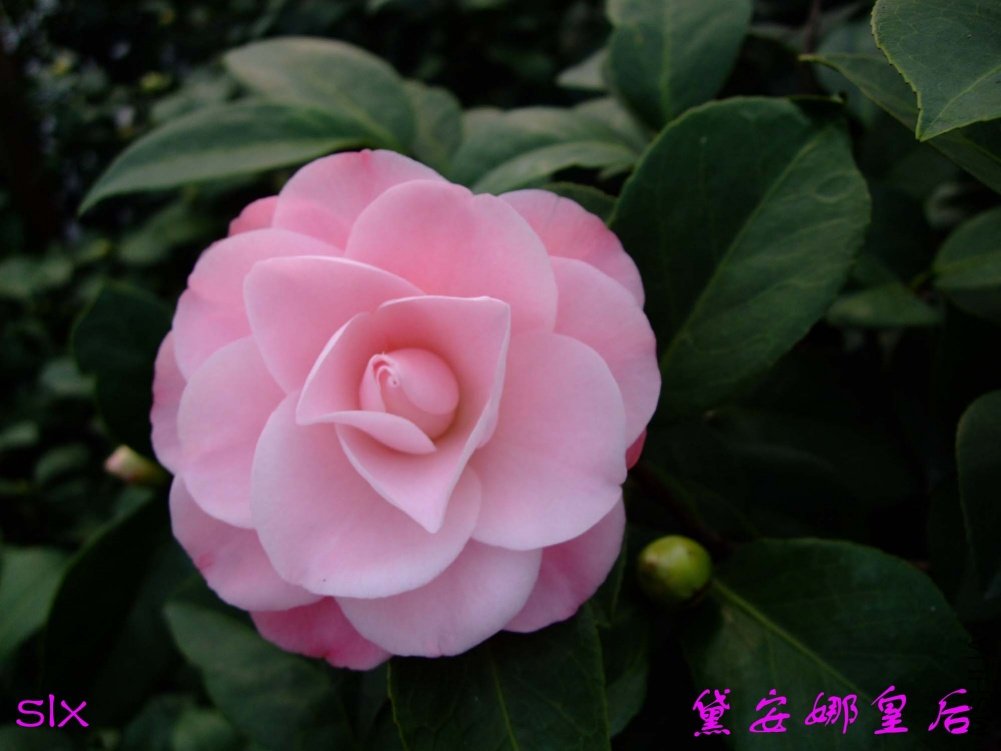 �찲��11-2-27f (2).jpg