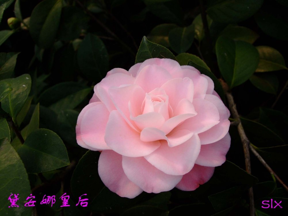 �찲��11-2-27f (1).jpg