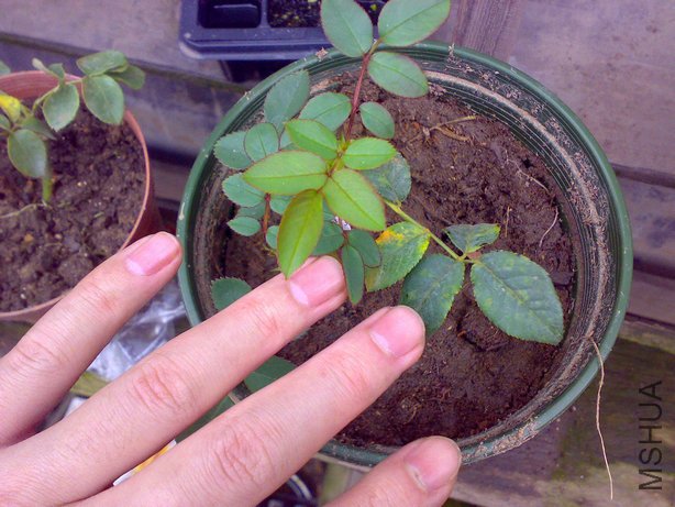 20110228642_1.jpg
