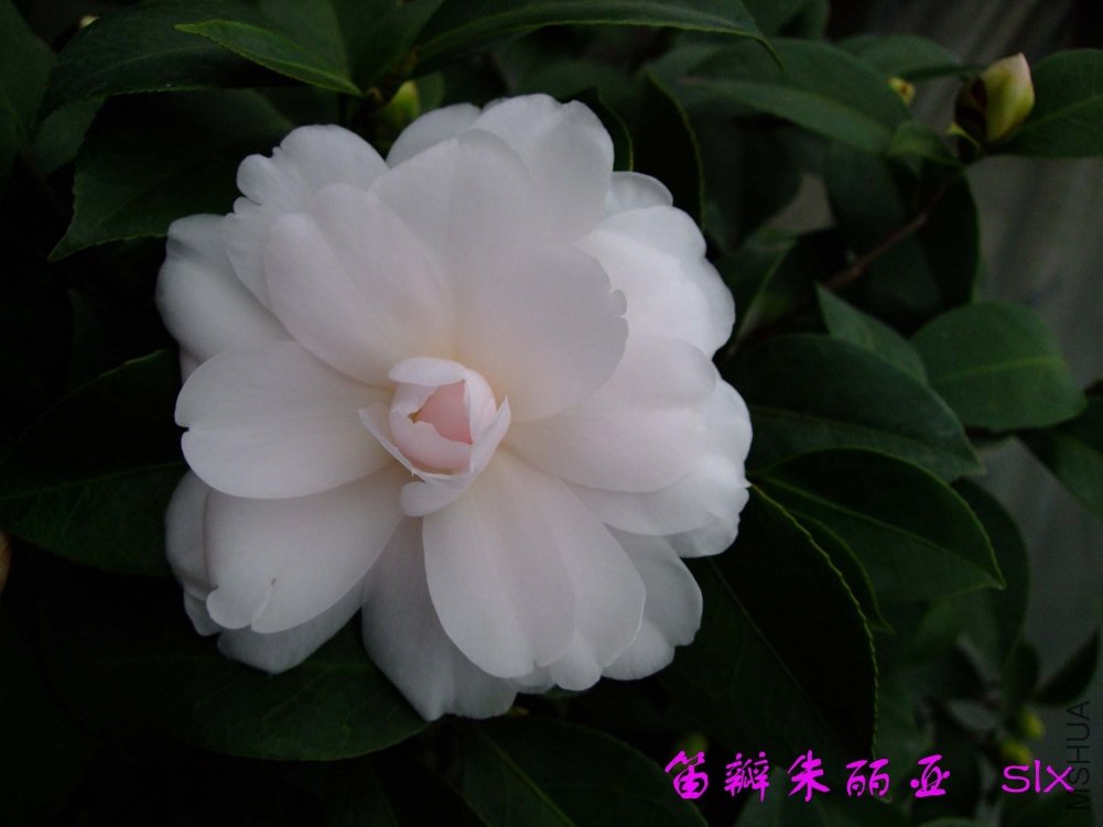 �Ѱ�������11-2-28f (2).jpg