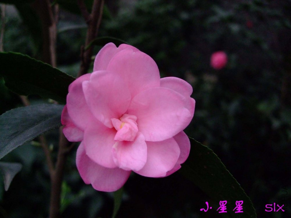 С����11-2-28f (2).jpg