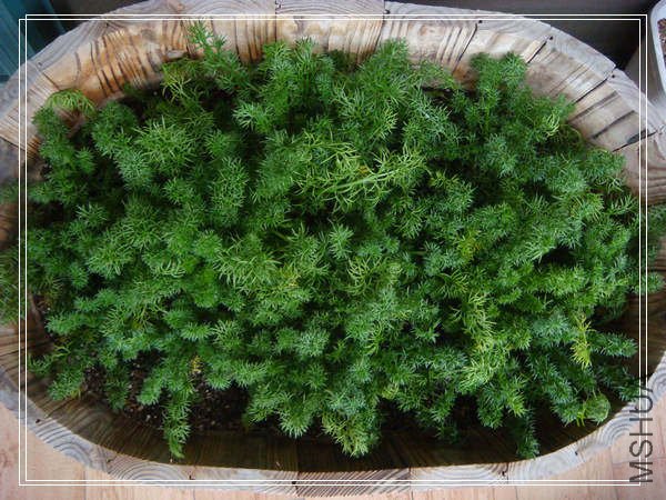 ������ʾ�Ҷ���е���