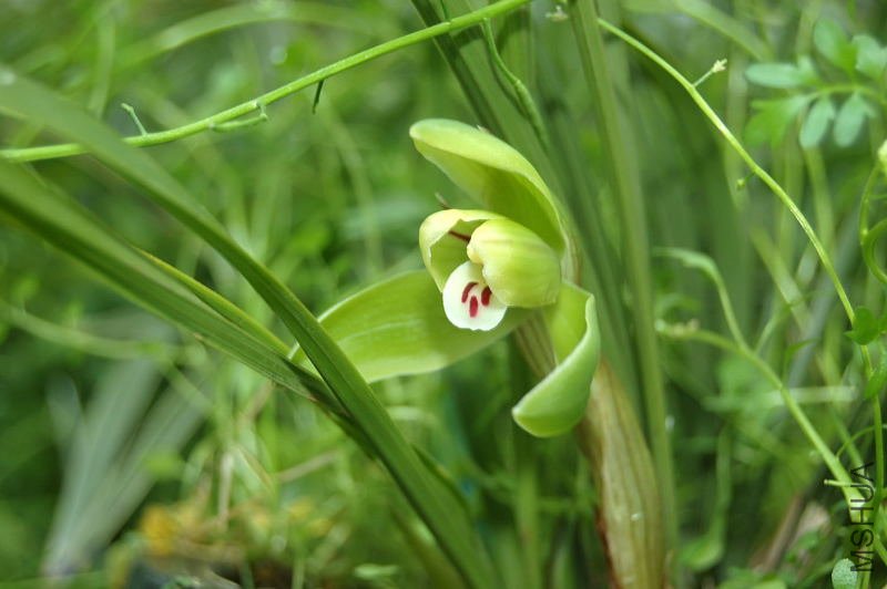 DSC_00580058.JPG