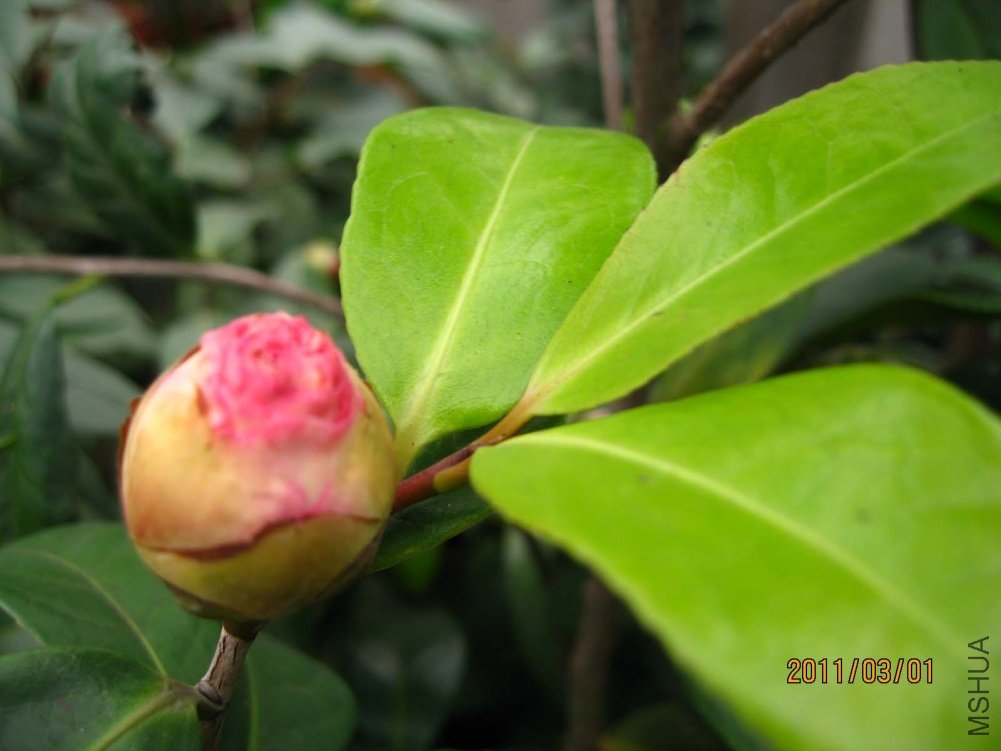 ��Ƭ11-3-1c 00711.jpg