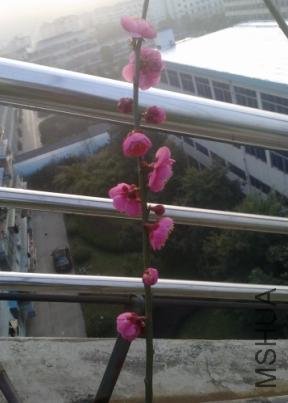 ÷������