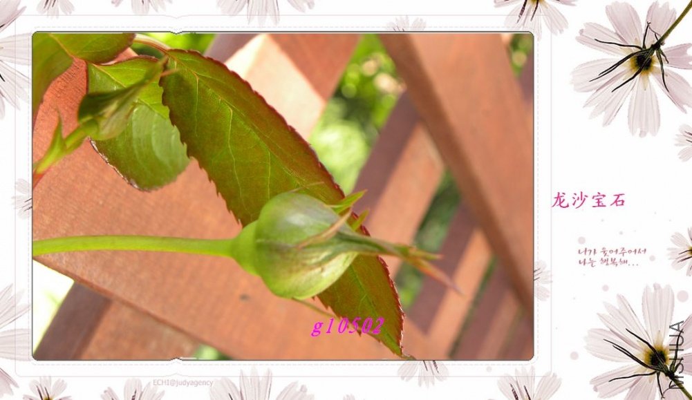 DSCN0898.jpg