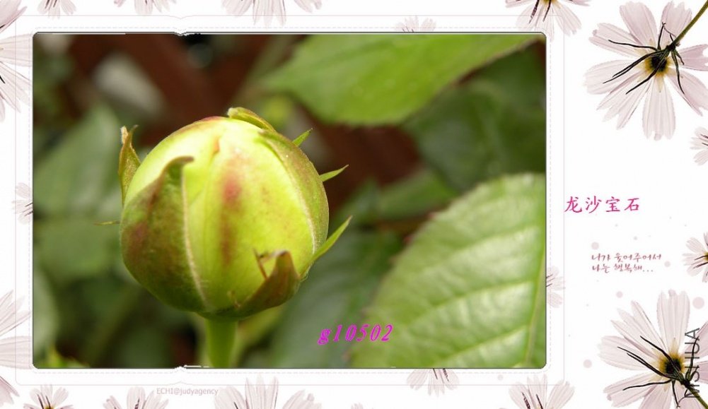 DSCN0939.jpg