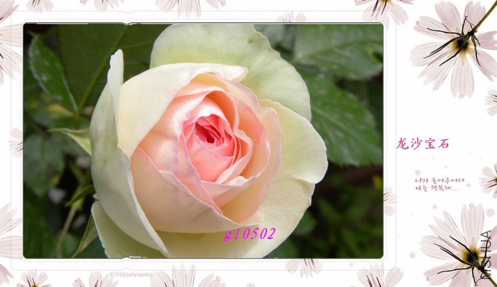DSCN1023.jpg