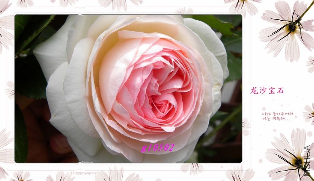 DSCN1024.jpg