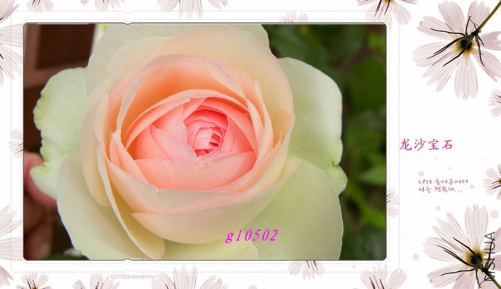 DSCN1025.jpg