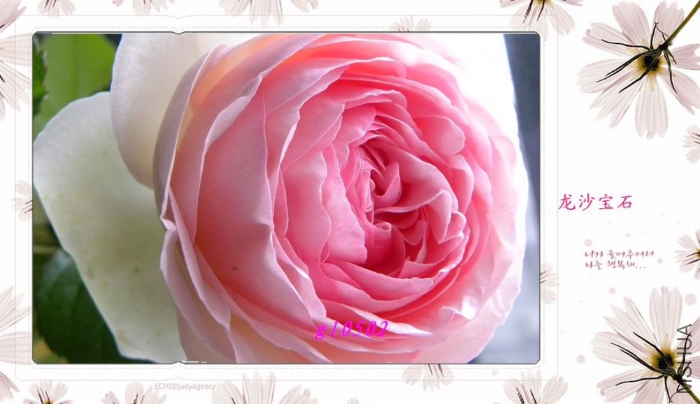 DSCN1049.jpg