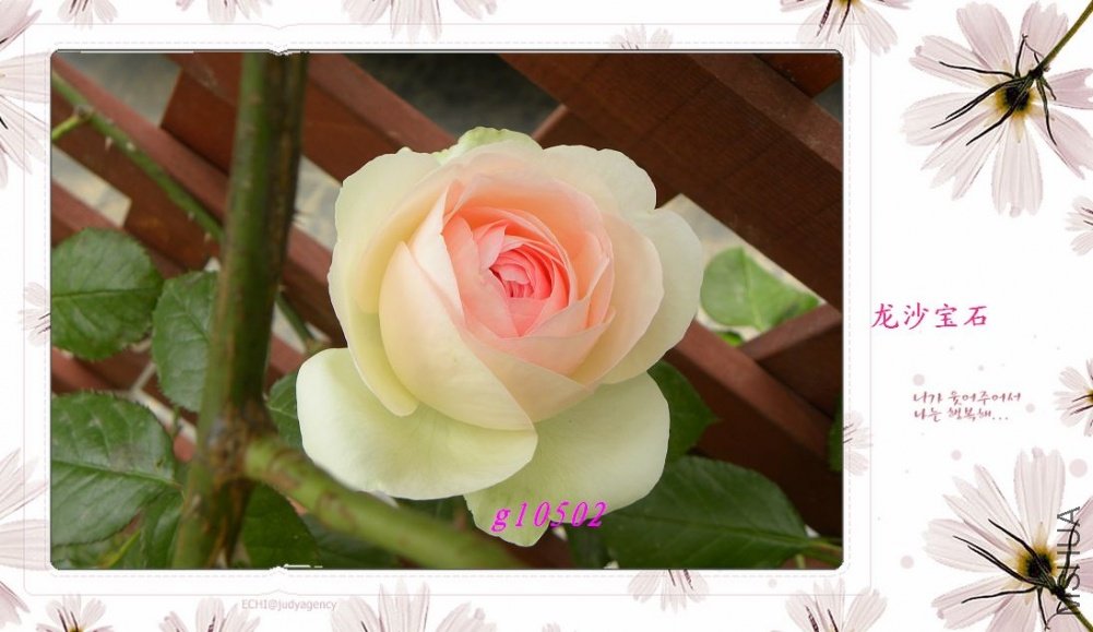 DSCN1029.jpg