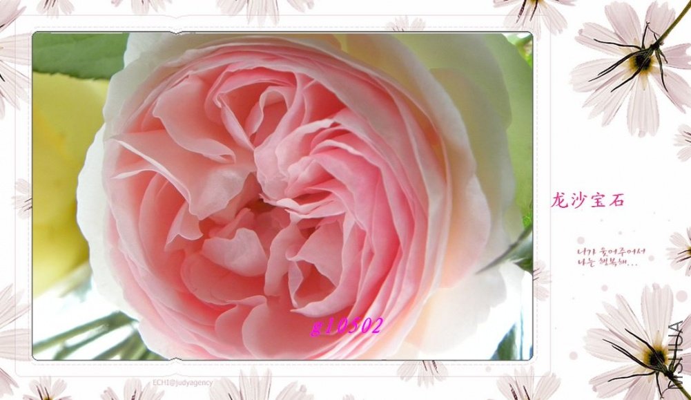 DSCN1050.jpg