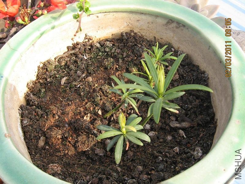 201103 025.jpg