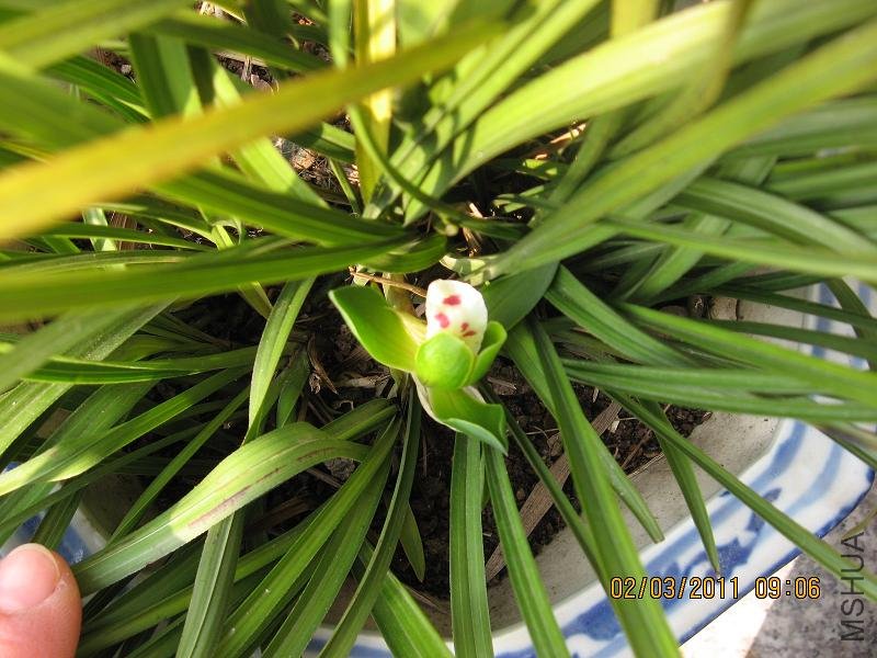 201103 026.jpg