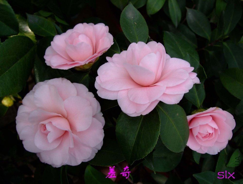 ����11-3-2f (1).jpg