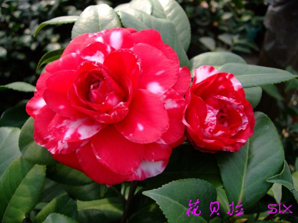 ������11-3-2f (1).jpg