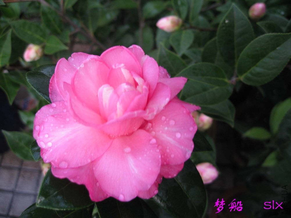 �δ�11-3-2f (1).jpg