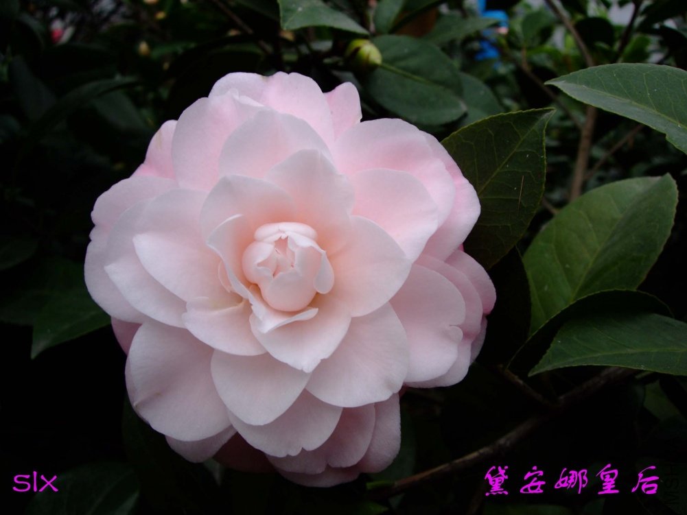 �찲��11-3-1f (1).jpg