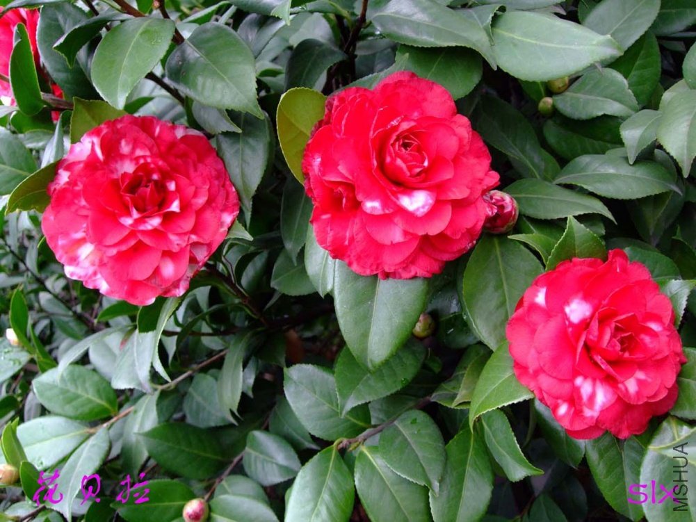 ����11-3-1f (3).jpg