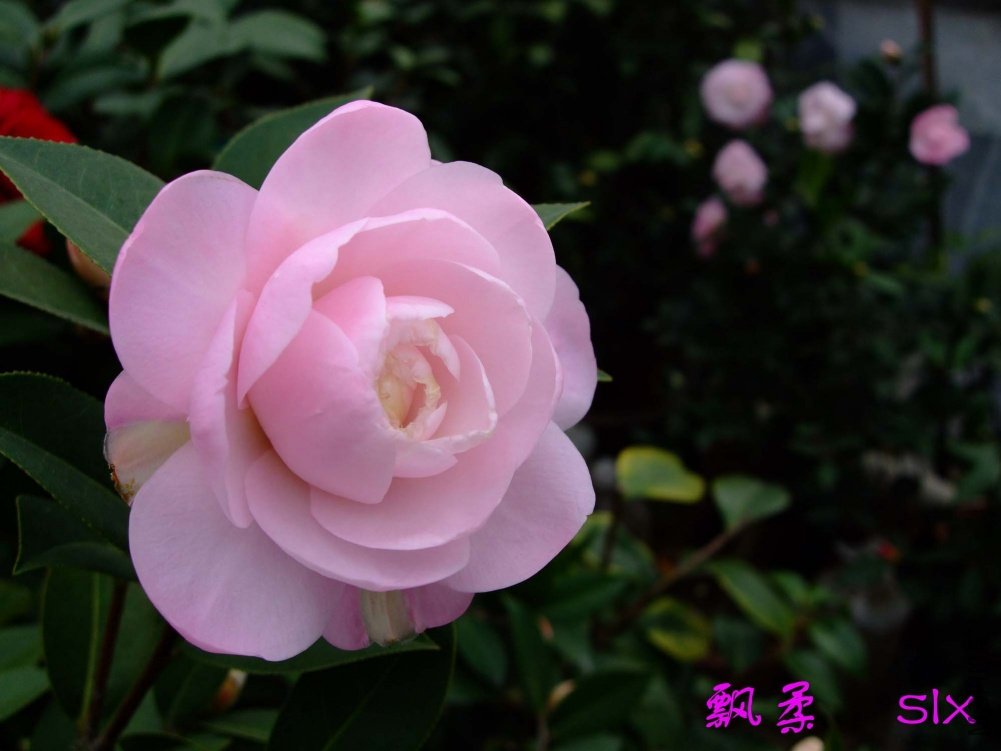 Ʈ��11-3-1f (1).jpg