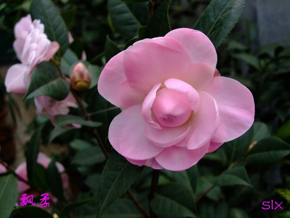 Ʈ��11-3-1f (6).jpg