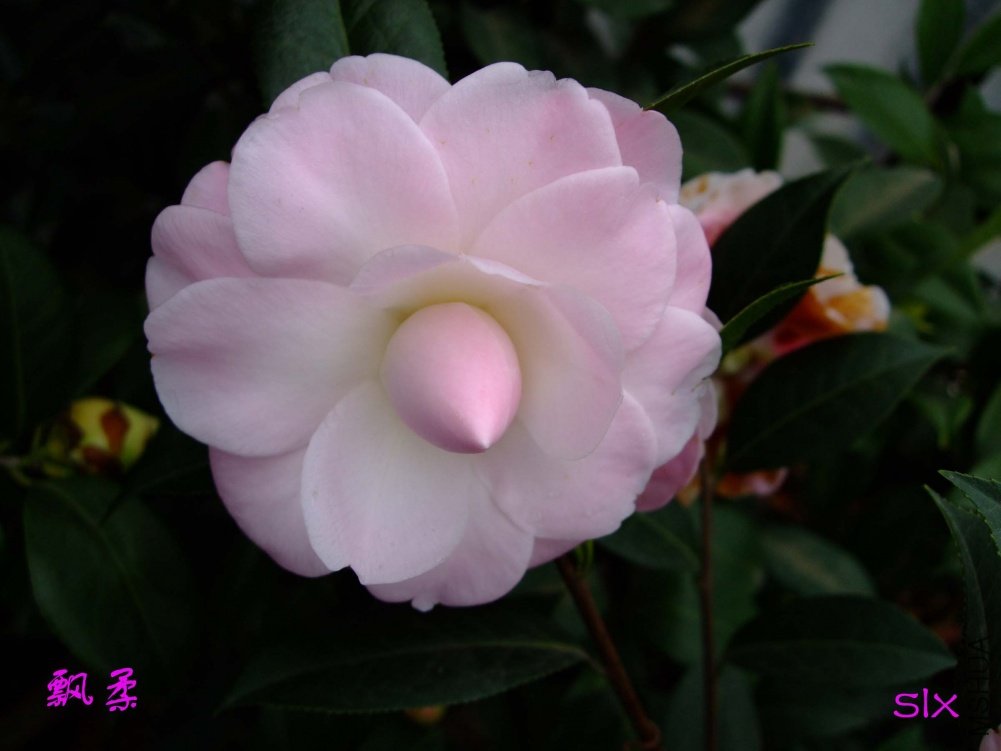 Ʈ��11-3-1f (5).jpg