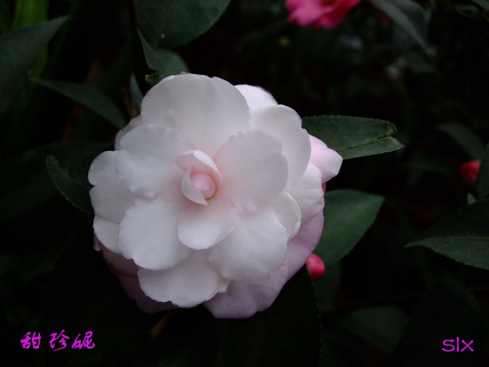 ������11-3-1f (1).jpg