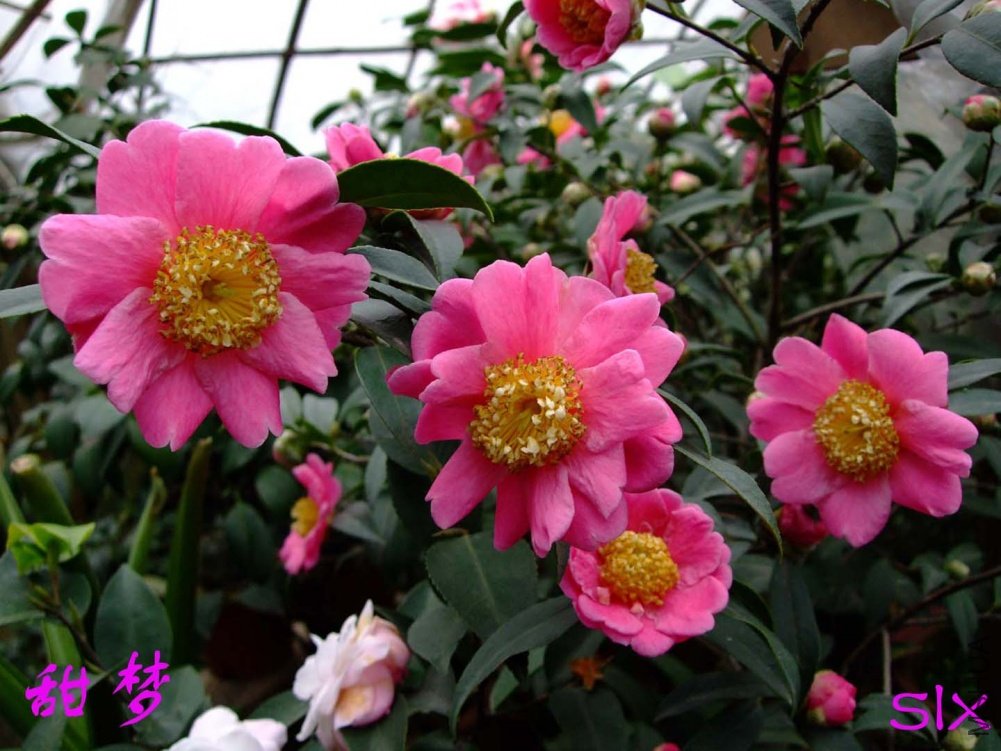 ����11-3-1f (1).jpg