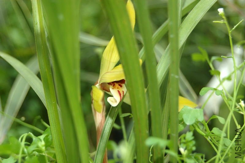 DSC_01000100.JPG
