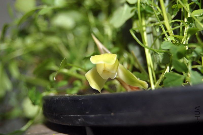 DSC_01690169.JPG