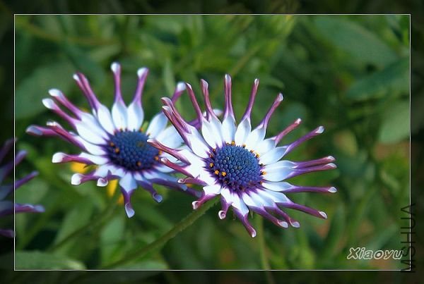 ��״��Ŀ��