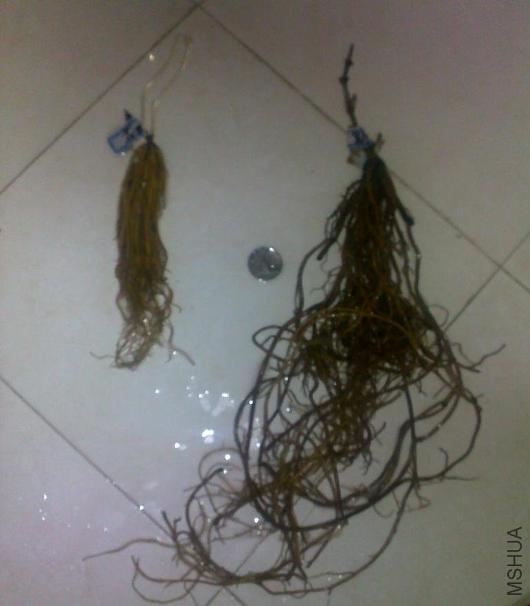 һ��Ǯ������